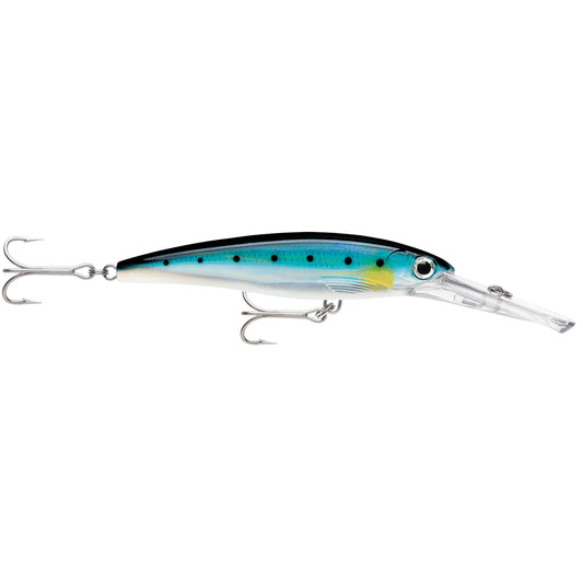 Rapala X-Rap Magnum 20 Sardine [XRMAG20BSRD]